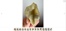 Fossil Chalcedony Bamboo from Indonesia picture