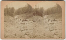 1885 The Great Avalanche Jefferson New Hampshire Kilburn Vintage Stereoview picture