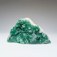 Genuine Green Fluorite from Namibia (1.9 lbs) picture
