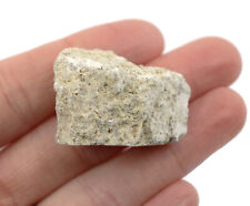 Raw Fossiliferous Limestone Specimen, 1