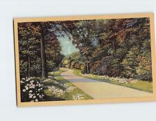 Postcard Road/Pathway Flowers & Trees Nature Scenery picture