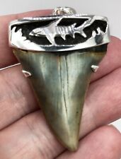 Fossil Shark Tooth Pendant – Megalodon Tooth with Sterling Silver Cap, Meg Teeth picture