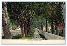 c1910's State Avenue Residences And Trees Alamosa Colorado CO Unposted Postcard picture
