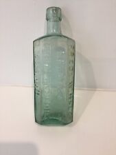 Early Fred W.Hale Natures Herbal Remedies London Medicine Bottle 7 Inches Tall picture