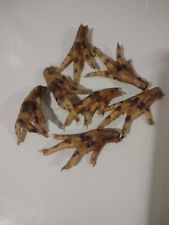 Chicken Foot Hoodoo Voodoo Wiccan Spell Work Dried Paw Claws Conjure picture