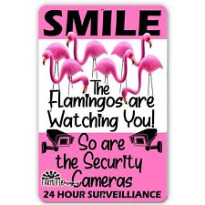 Crazy Flamingo Sign - Smile Security Cameras are Watching You - 8x12 handmade picture