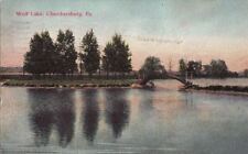 Postcard Wolf Lake Chambersburg PA 1909 picture