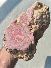 4.3 Pound: Rhodochrosite Botryoidal Polished / Rough Capillitas, Argentina picture