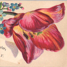 1880s Mrs R M Gage Confectionery Ice Cream Parlor Albany Victorian Trade Card 1 picture