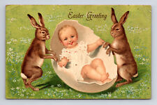 1907 Anthropomorphic Easter Bunny Rabbits Baby In Giant Egg Postcard picture