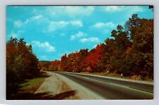 Scenic Autumn Scene, Country Trees, Antique Vintage Souvenir Postcard picture