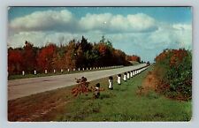 Eastern OH Scenic Roadway Autumn Foliage Buckeye State Ohio Vintage Postcard picture