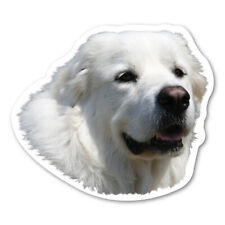 Great Pyrenees Magnet picture