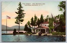 The Hedges. Blue Mountain Lake. Adirondacks Hand Colored New York Postcard picture