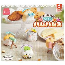 Animal Attraction Hamster Mascot Capsule Toy 5 Types Full Comp Set Gacha New picture