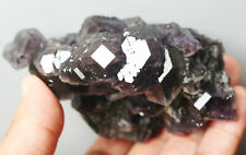Newly discovered blue all-transparent violet heart fluorite Quartz Crystal picture