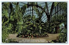 1916 Interior Of Botanical Building Exposition San Diego California CA Postcard picture