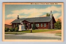 Bemidji MN-Minnesota, Museum of Natural History, Antique Vintage Postcard picture
