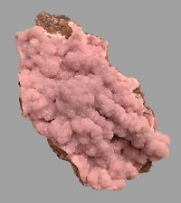 Sparkling Pale-Pink RHODOCHROSITE, N’Chwaning Mines, South Africa picture