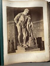 Ercole Farnese Napoli Museum Albumen, Museum Photos Archeological Museum (2) picture