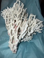 White Natural Sea Coral Reef 13oz. Aquarium Beach Home Decor Fossil 7.5” picture