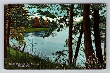 Chetek WI-Wisconsin, Sunlit Waters in the Narrows, Antique Vintage Postcard picture