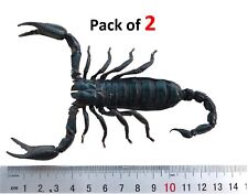 Set 2 Real Giant Scorpion 7” Mounted Insect Bug Entomology Wall Art Decor Home picture