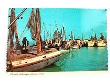 Vintage Postcard Florida's Picturesque Shrimp Boats Florida picture