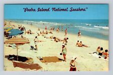Padre Island TX-Texas, Padre Island National Seashore, Antique Vintage Postcard picture