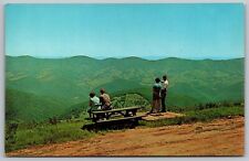 Breath Taking View East Spruces Knob Pendleton County West Virginia Postcard picture
