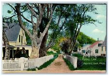 c1910 Kendall Lane Dirt Pathways Houses Provincetown Massachusetts MA Postcard picture