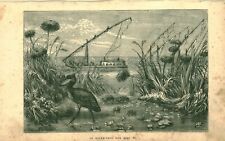 1882 White Baker Equatorial Africa Army Expedition Antique Engraving picture