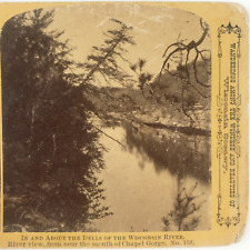 Wisconsin Chapel River Gorge Stereoview c1870 Dells HH Bennett Photo Card E618 picture