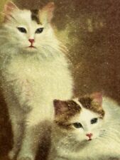Cat Postcard Two Calicos Art Portrait Pose udb picture