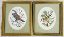 1980 Franklin Gallery SONGBIRDS OF THE WORLD Engravings : Pair of Two picture