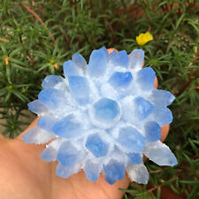 500g+ New Find Blue Phantom Quartz Crystal Cluster Mineral Specimen Healing Gift picture