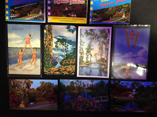 40+ Postcard lot, Cypress Gardens. Nice picture