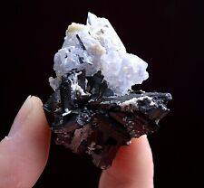37g Natural Wolframite & Fluorite CRYSTAL Mineral Specimen / Yaogangxian China picture