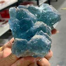 1.3LB Natural BLUE cubic fluorite crystal cluster mineral sample picture