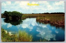 United States Scenic Wetlands Landscape Reflections Chrome UNP Postcard picture