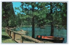 Pinecrest California CA Postcard Lake Playground Summer Visitors c1960 Vintage picture