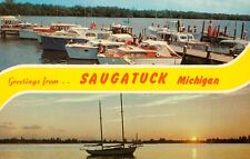 GREETINGS from SAUGATUCK, Michigan 1950/60s Vintage POSTCARD  Dexter Press picture