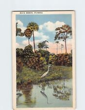 Postcard Blue Heron Florida USA picture