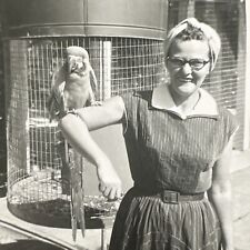 VINTAGE PHOTO Woman With Scarlett Macaw Parrot On Arm 1950S Snapshot picture