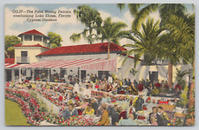 Cypress Gardens Florida Palm Dining Terrace Lake Eloise Linen Postcard picture