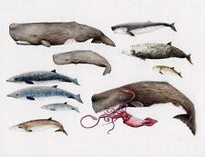 Postcard Sperm Whale and Beaked Whales - Whales of the Deep by Chloe Yzoard MINT picture