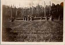 Vintage Australia Hay Mounds Deforestation Nature 1930s Vintage Photograph picture