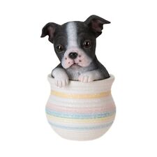 PT Pacific Trading Boston Terrier Dog in Cold Cast Resin Striped Pot picture