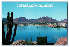 Guaymas Sonora Mexico Postcard Tropical Climate River Mountain c1950's picture