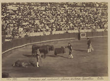 E.B. Spain, Seville, Tomado del natural bullring Vintage Albumen Print picture
